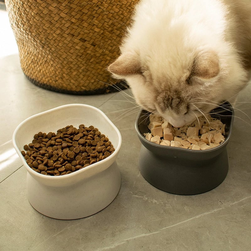 Double-sided Pet Feeding Bowl Oblique Mouth Protection Cervical Spine Dog Feeder Prevent Knocking Over High-legged Cat Feeding Basin