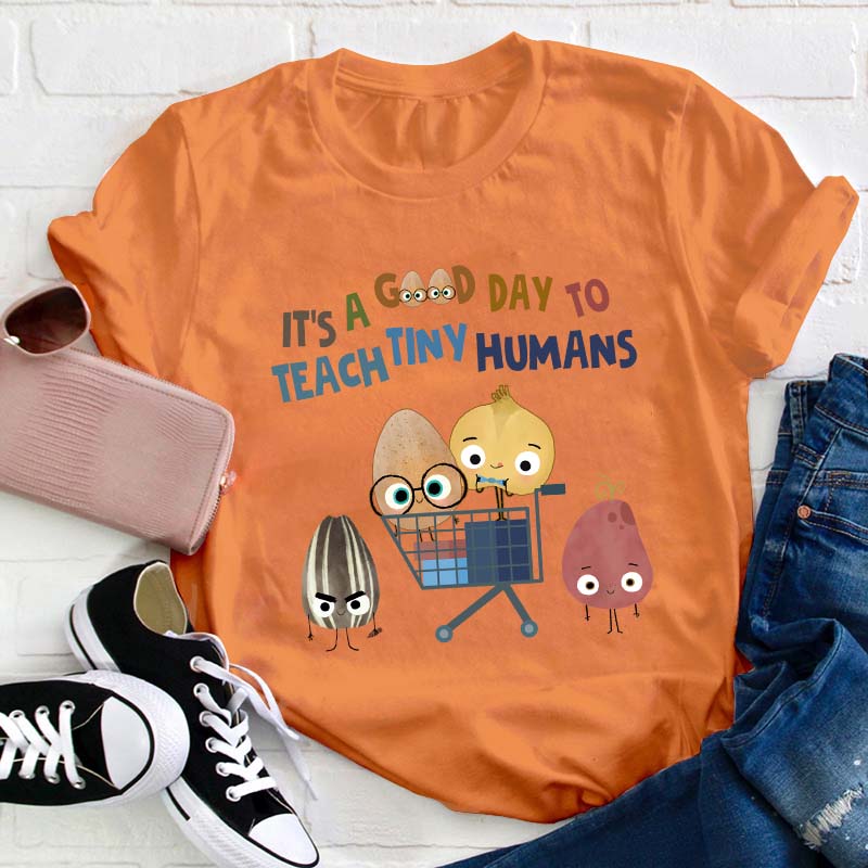 It's A Good Day To Teach Tiny Humans Teacher T-Shirt