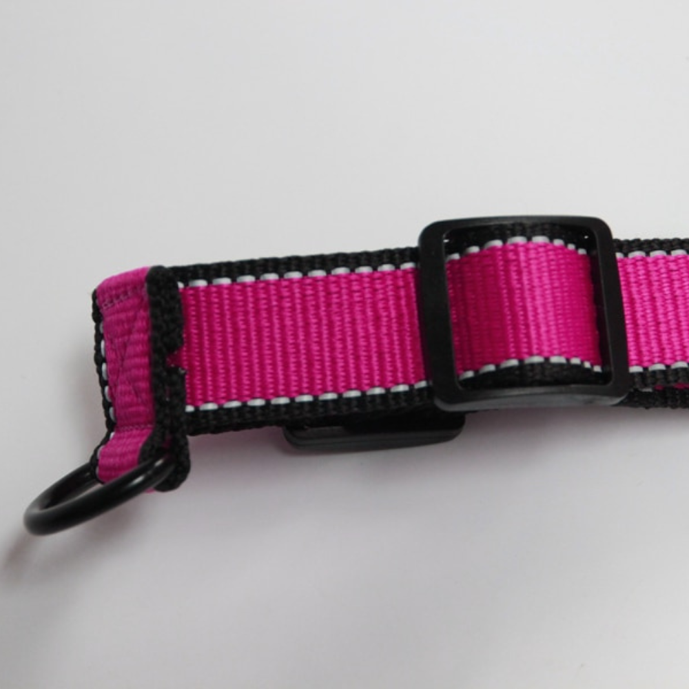 Nylon Dog Harness