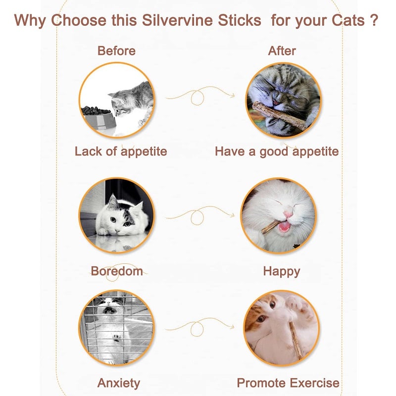 🔥 😺Natural Silvervine Stick Cat Chew Toy- BUY 3 Get 1 Free