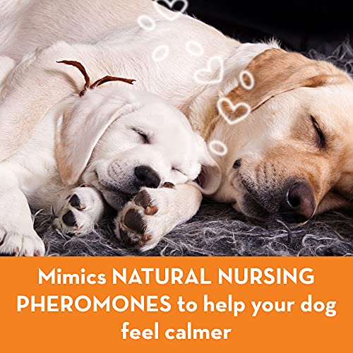 ThunderEase Dog Calming Pheromone Diffuser Kit | Powered by ADAPTIL | Vet Recommended to Relieve Separation Anxiety. Stress Barking & Chewing. and Fear of Fireworks & Thunderstorms (30 Day Supply)