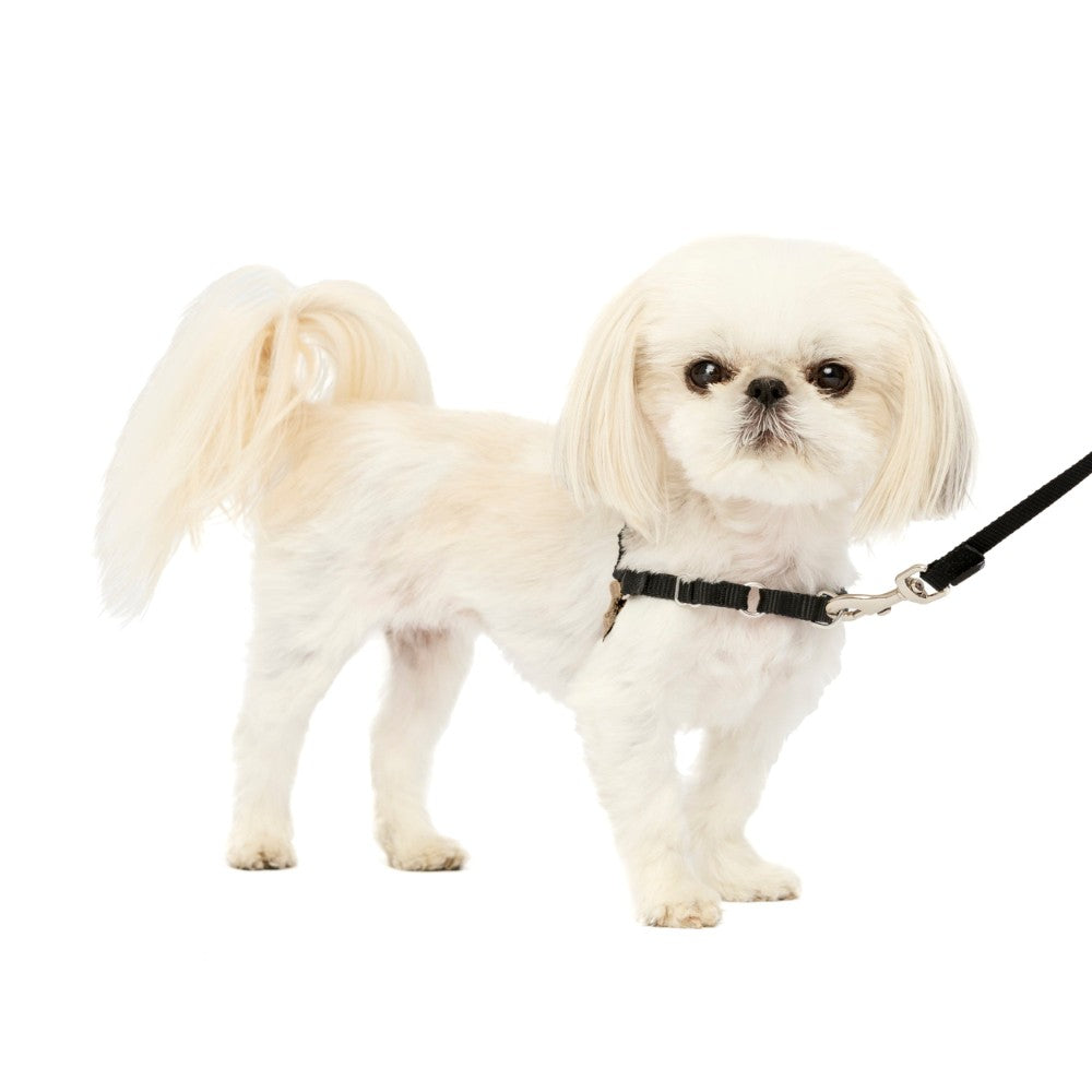 Adjustable No Pull Dog Harness With Training Leash