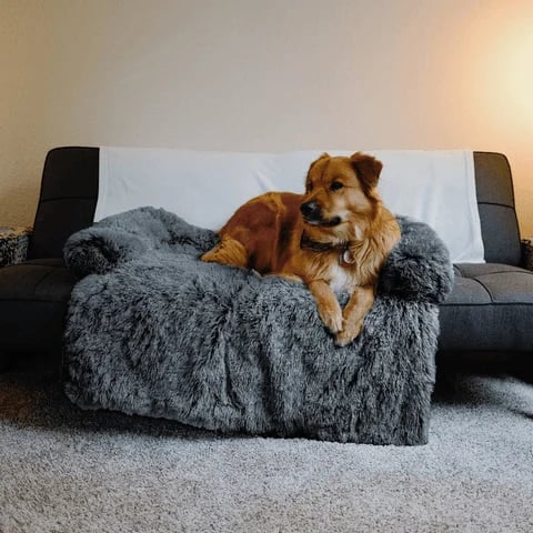 🔥Free shipping🔥Calming Furniture Protector (for pets!)