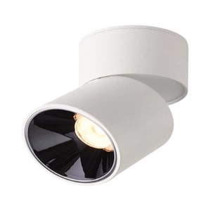 Grogu | Surface Mounted Spotlight