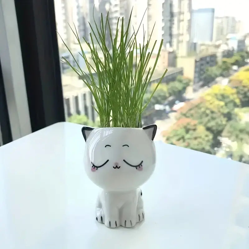 Cute Ceramic Cat Flower Pot Success