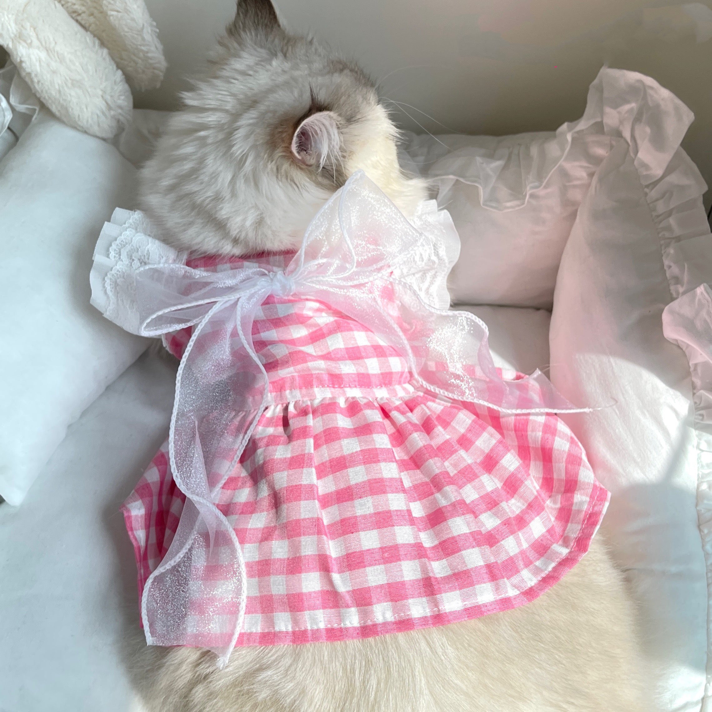 Plaid Lace Bow Dog Cat Dress