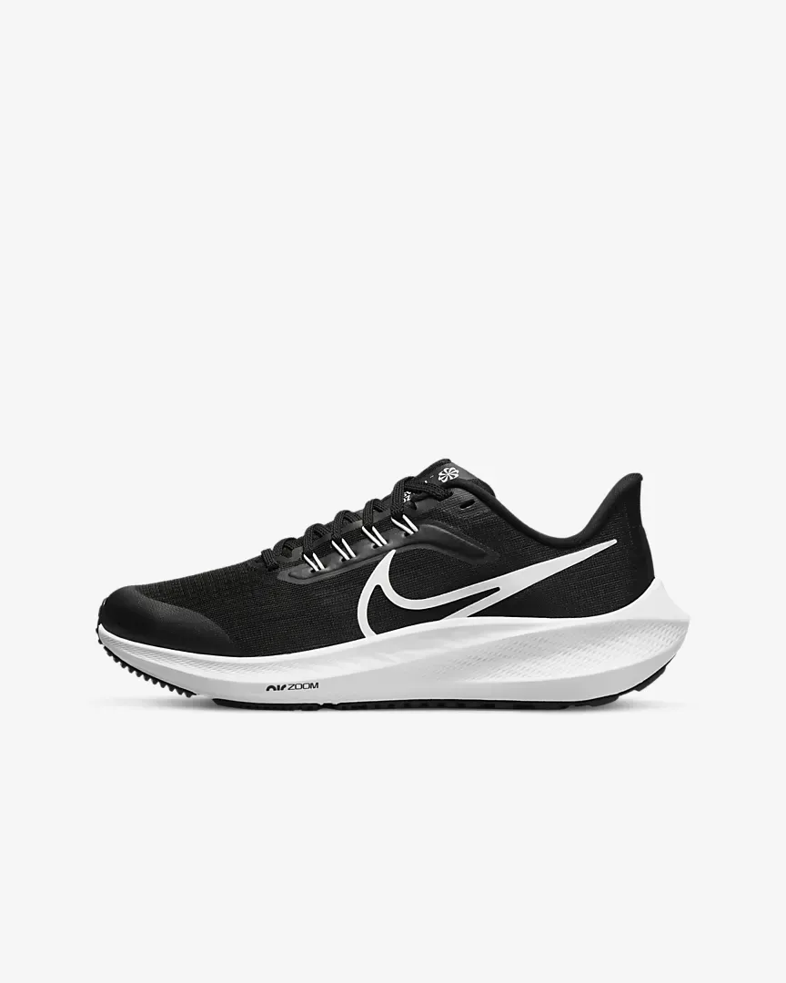 Nike Air Zoom Pegasus 39