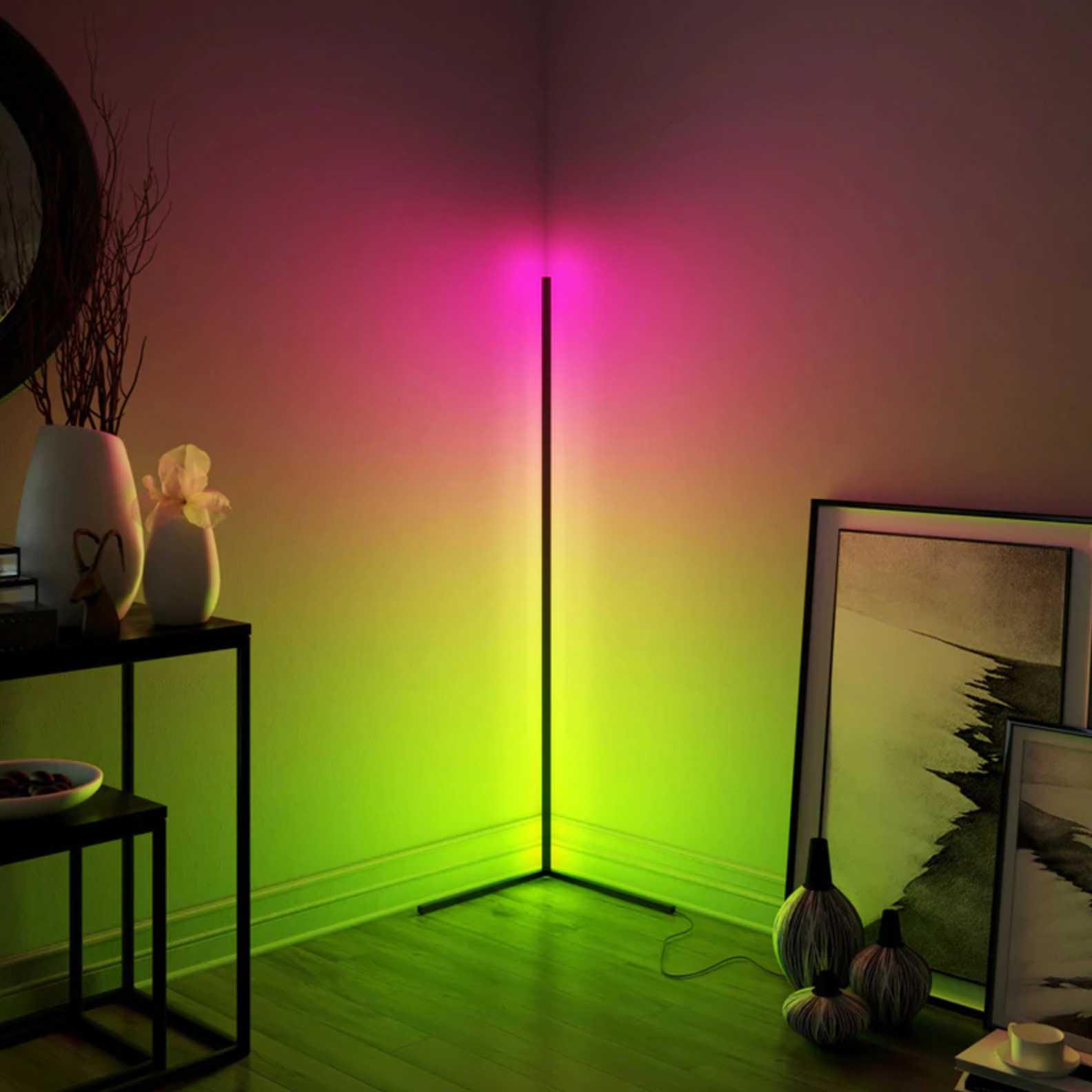 Light LED Floor Lamp