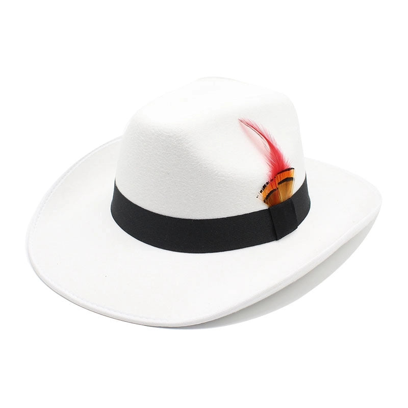 New Feather Hat Autumn And Winter Big Brim Hat Fashion Men's And Women's Cashmere Felt Hat Style Hat
