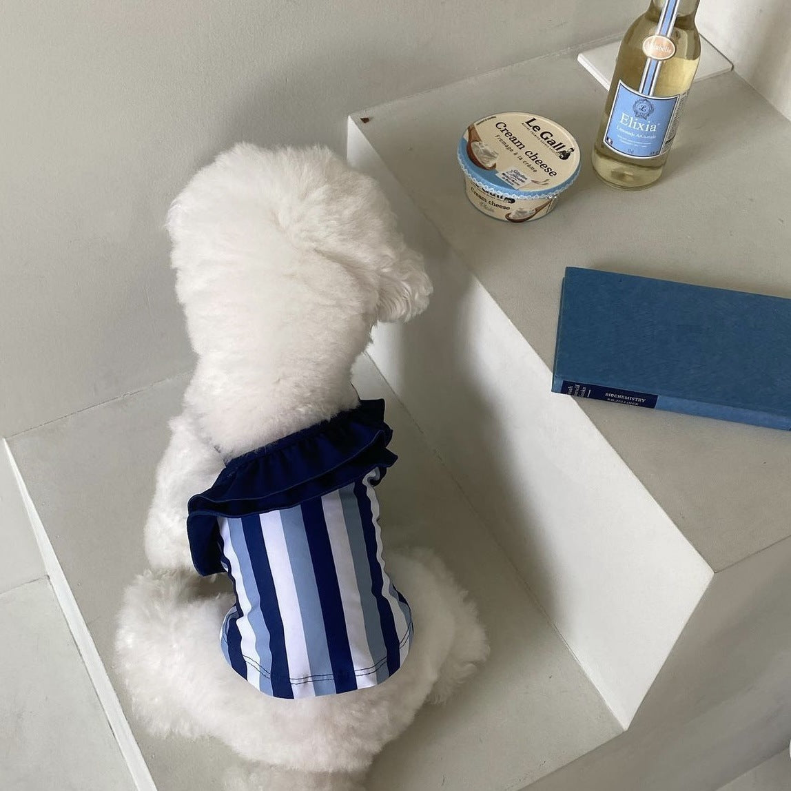 Contrast Color Striped Dog Cat Bikini