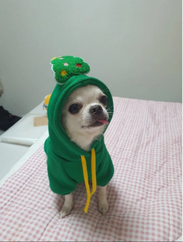 Cute Polyester Christmas Christmas Tree Santa Claus Pet Clothing