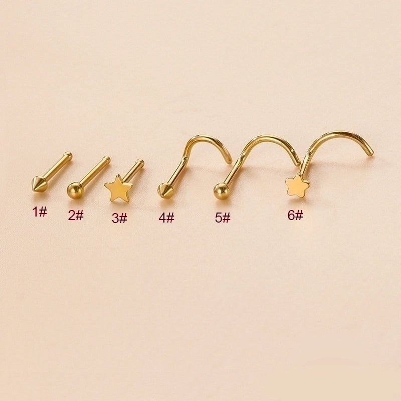 1 Piece Nose Rings & Studs Fashion Geometric Star 316L Stainless Steel  Plating