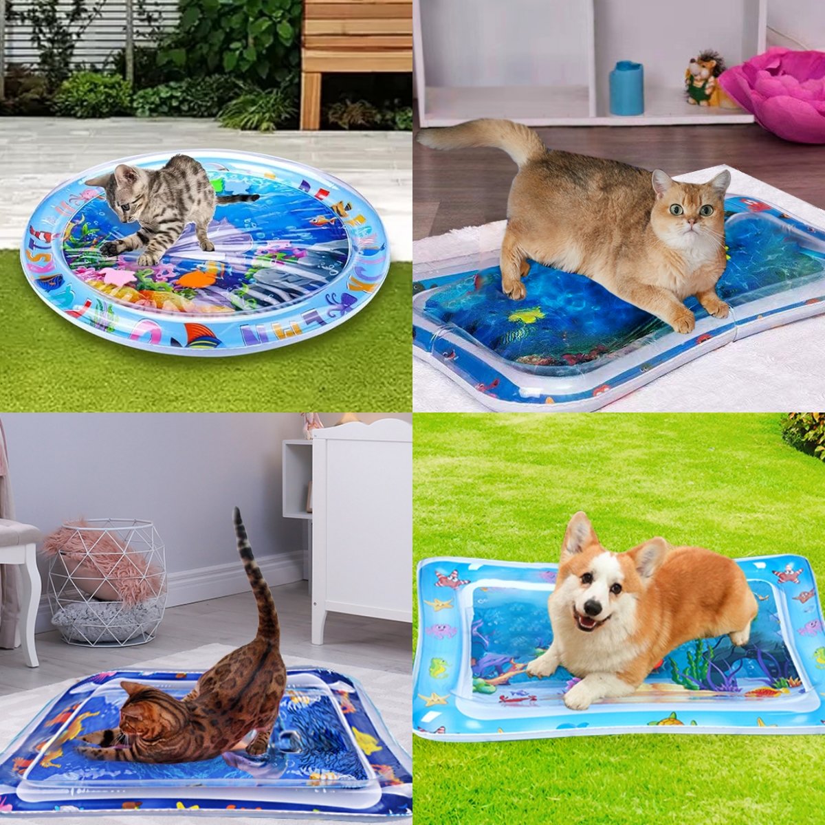 🔥Summer Hot Sale 47% - Pet Water Sensory Mat😺🐶