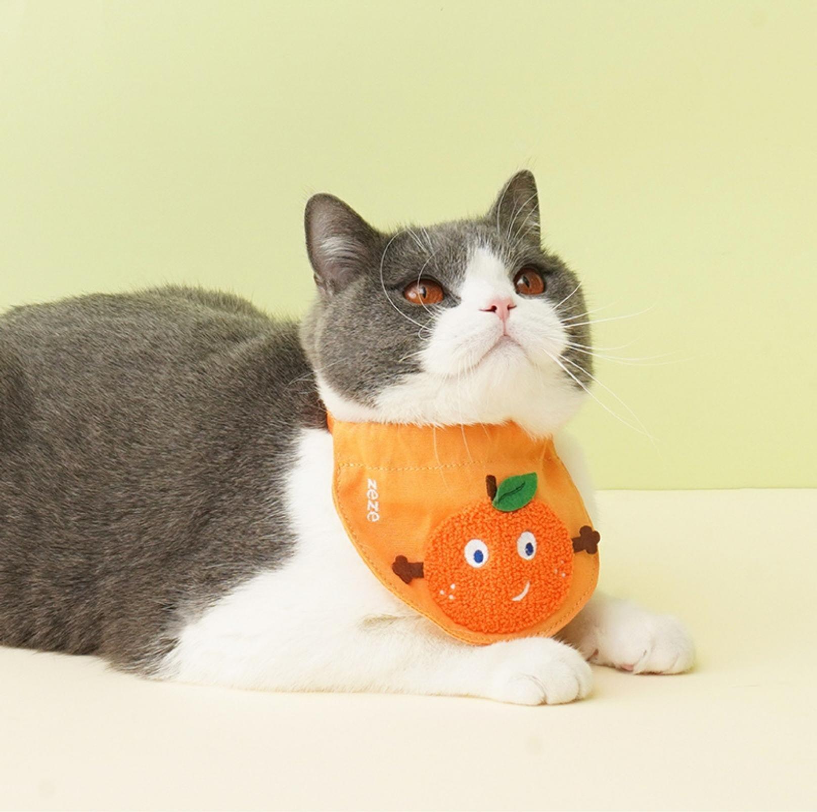 Knitted Cartoon Fruit Pet Cat Bib