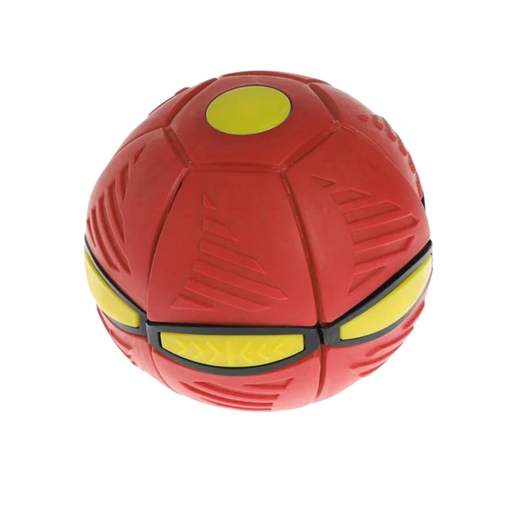 The Doggy Disc Ball Toy