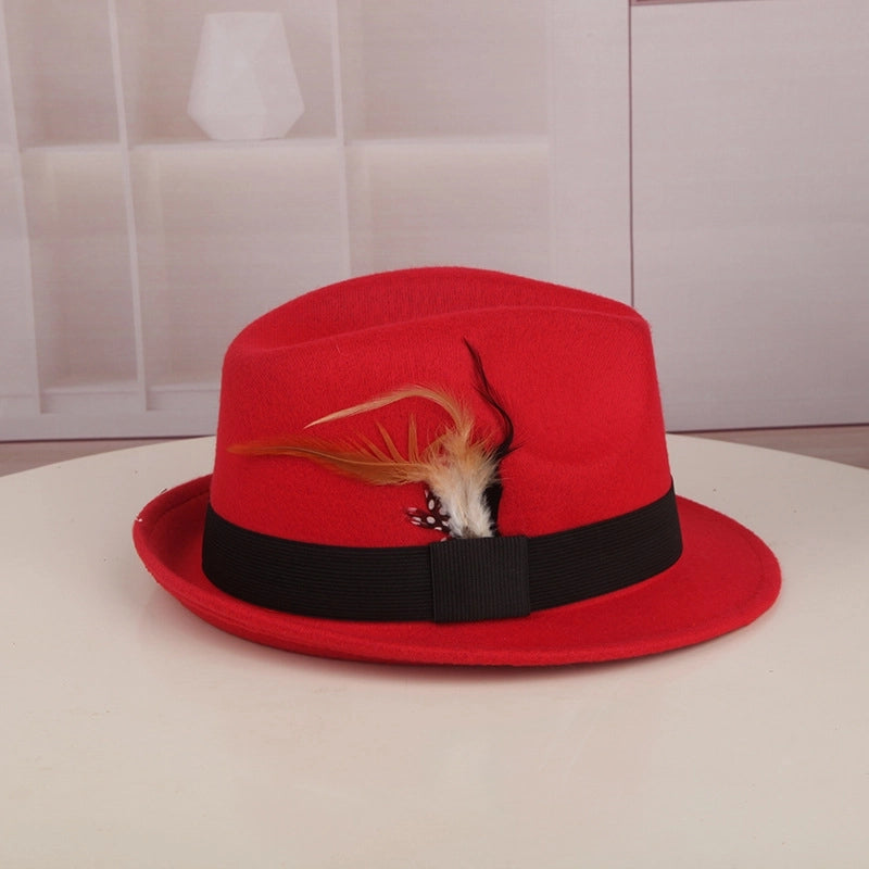 Spring And Autumn New Hat  Casual Ostrich Fur  Retro Feather Jazz Hat Women's Woolen Basin Hat