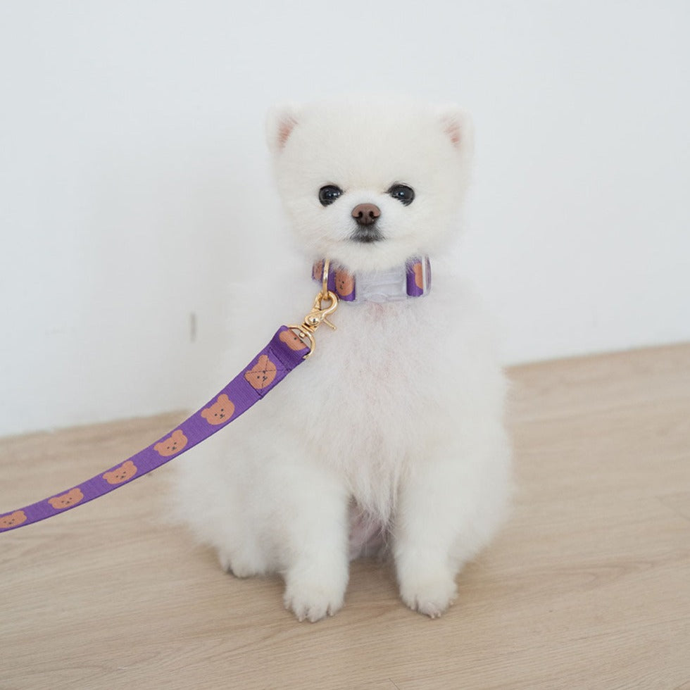 Little Bear Printed Dog Collar&Leash Set