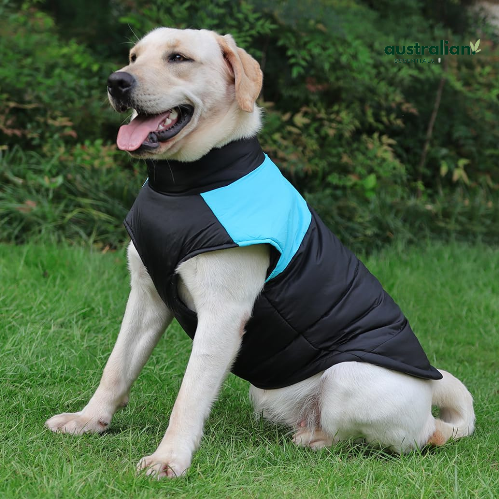 Warm Waterproof Dog Jacket