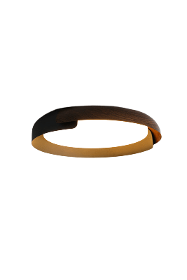 Dalmar | Ceiling Mounted Light