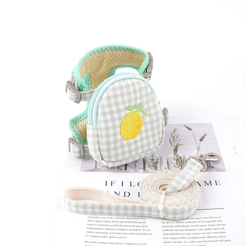 Minimalist Classic Style Polyester Color Block Leash
