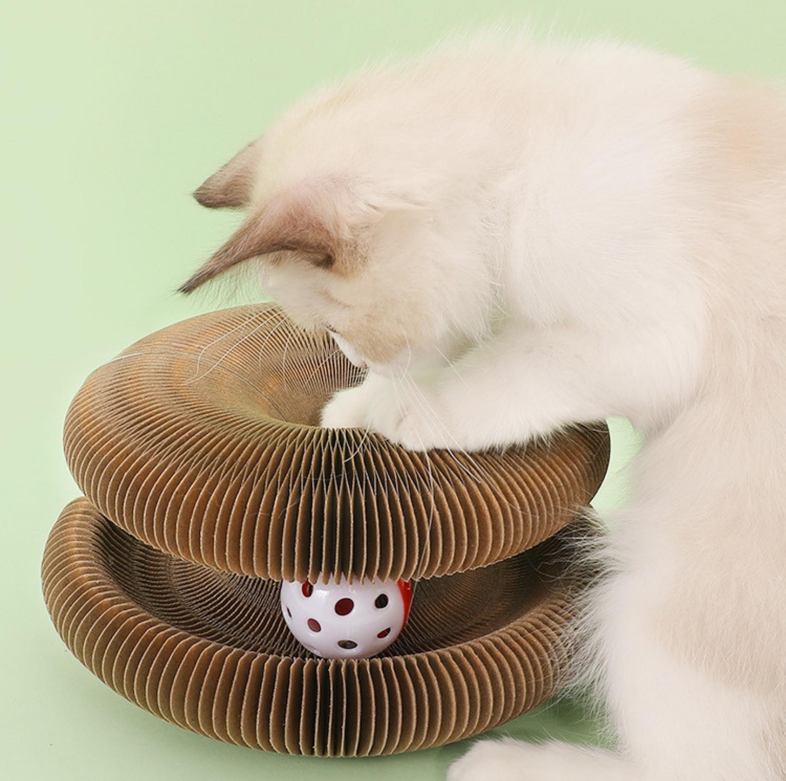 Magic Organ Cat Scratcher | Transformable Toy with Ball