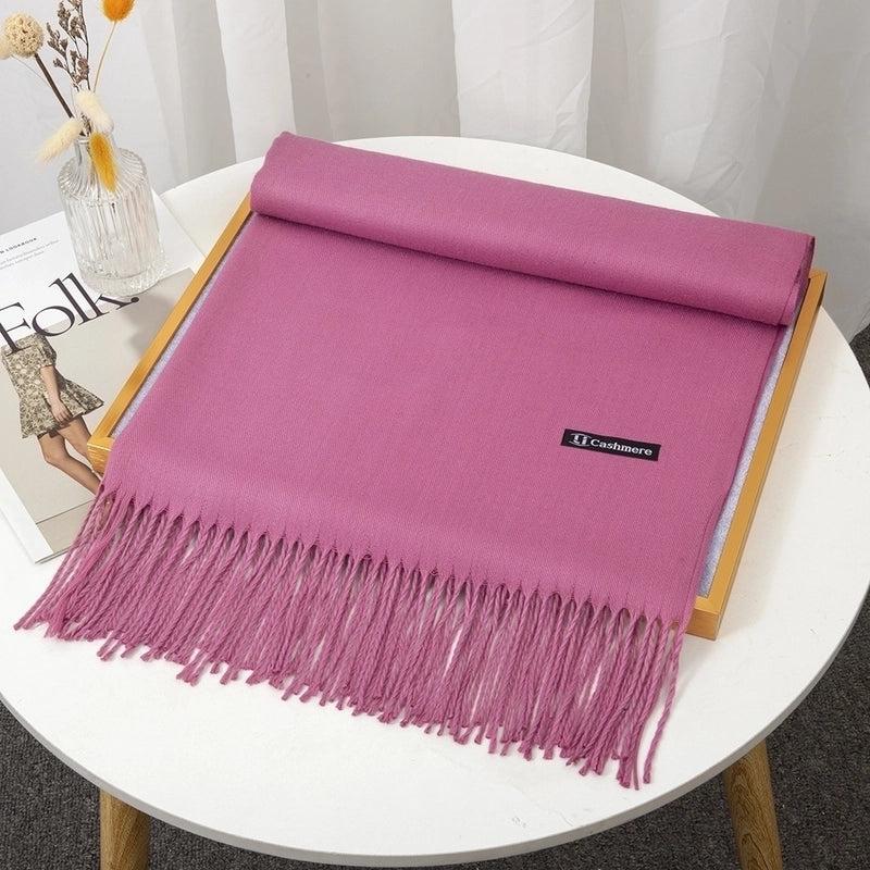 Women's Minimalist Solid Color Imitation Cashmere Tassel Scarf