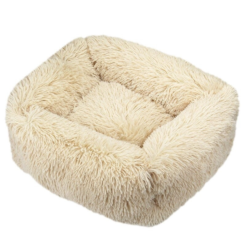 Cats Cushion Portable