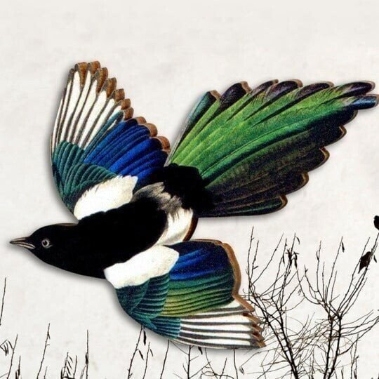 Carpenter Craft-Animal Wooden Brooch🐦