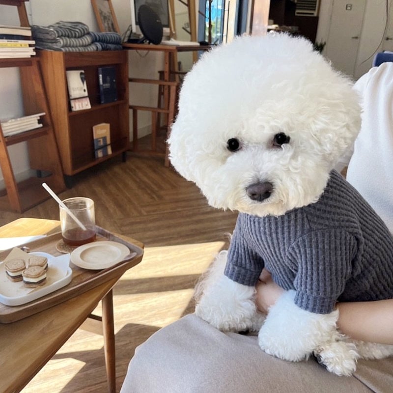Waffle Soft Casual Dog Cat Sweater