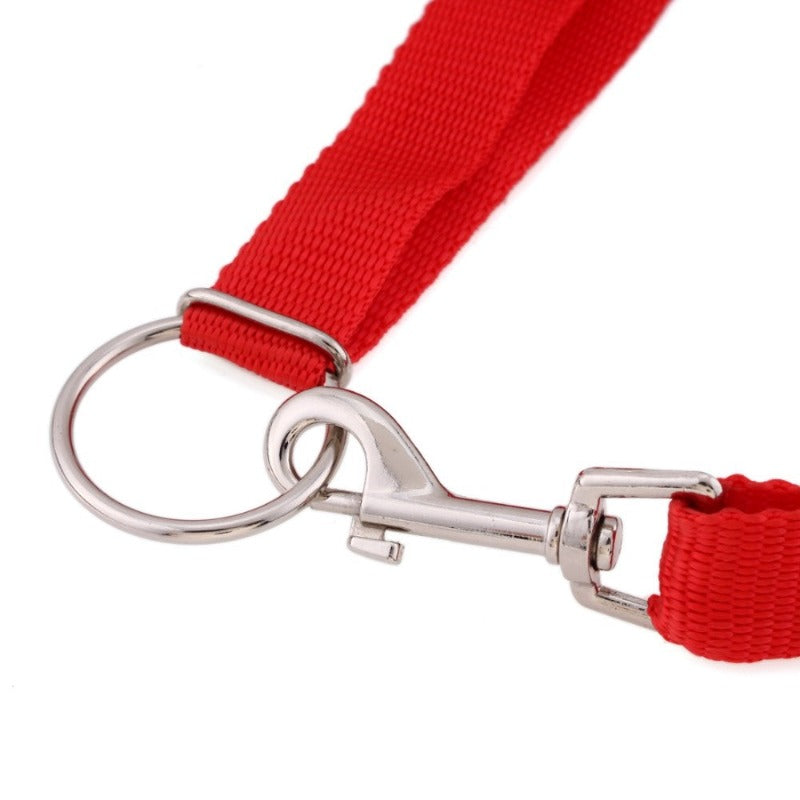 Large Dog Collar