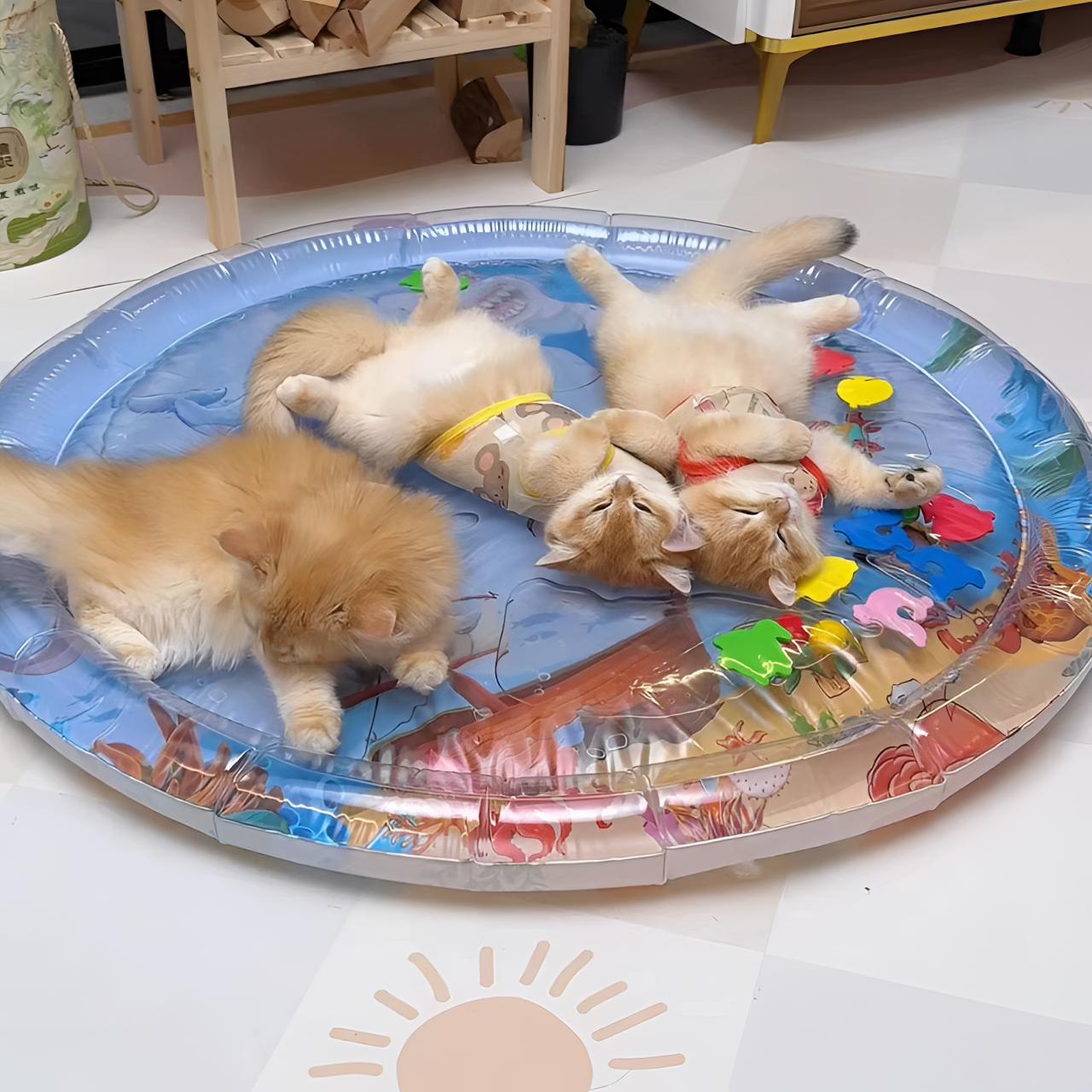 🔥Summer Hot Sale 47% - Pet Water Sensory Mat😺🐶