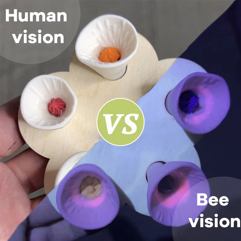 🔥LAST DAY 49% OFF🔥Bee Insect Drinking Cup(5-Pack)🐝🐝🐝