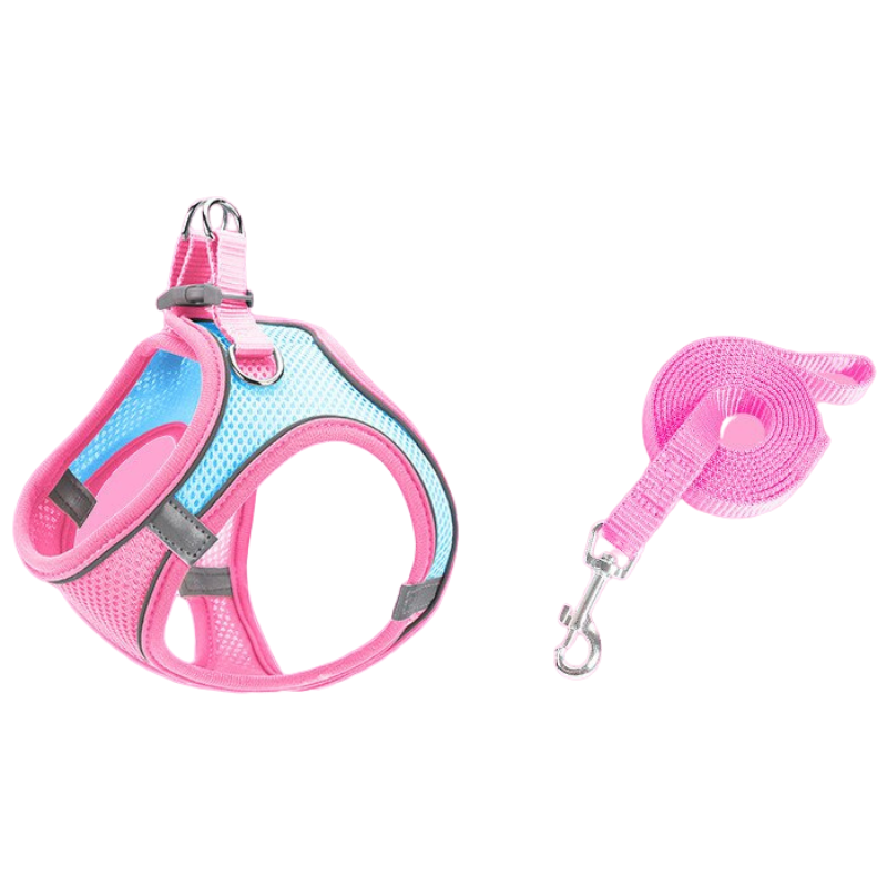 Breathable Dog Harness And Leash Set