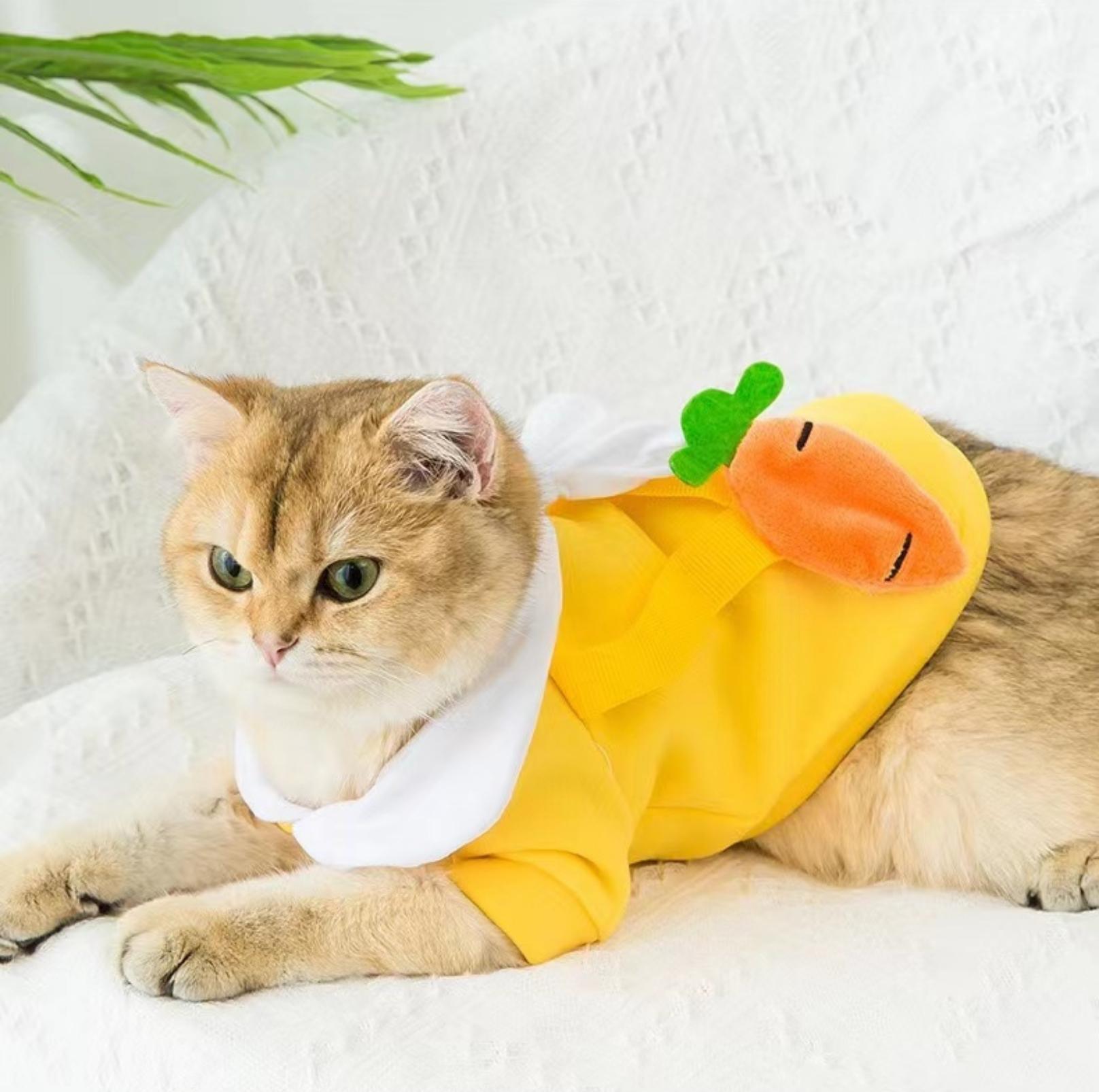 Cute Cartoon Pet Sweater with Crossbody Bag