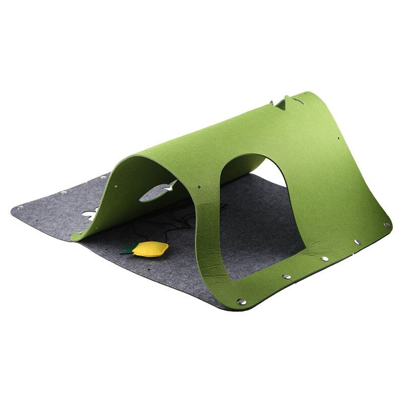 Cat Tunnel With Hanging Catnip