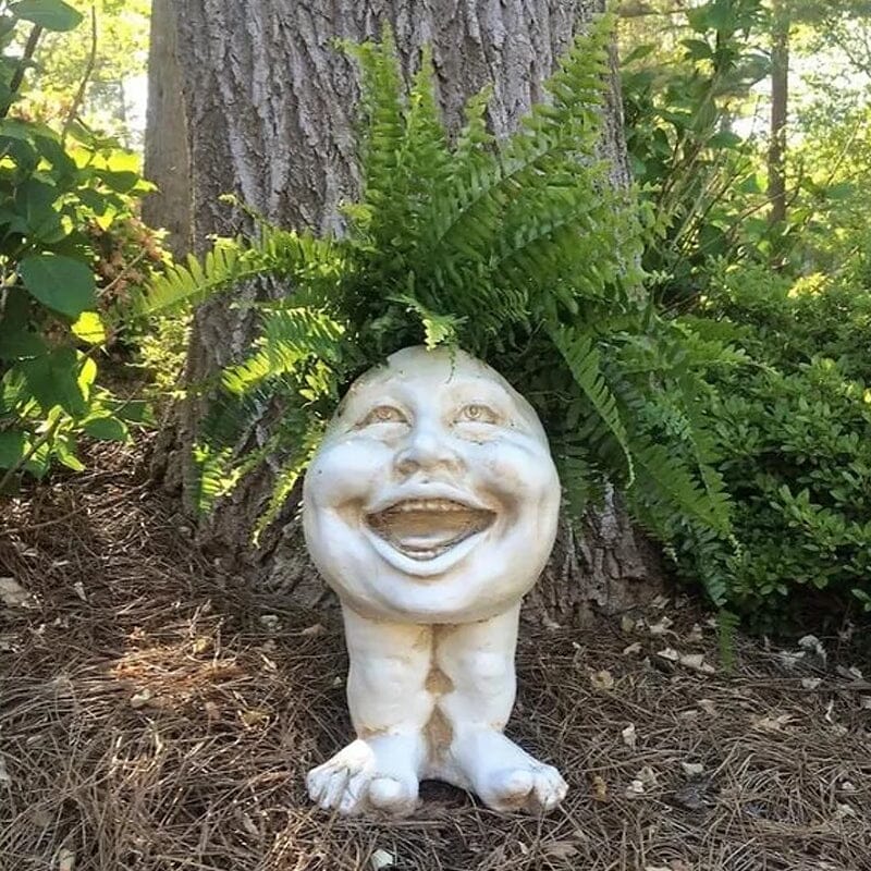 Funny Expression Flowerpot