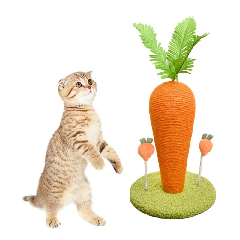 Carrot Shape Scratcher With Pad