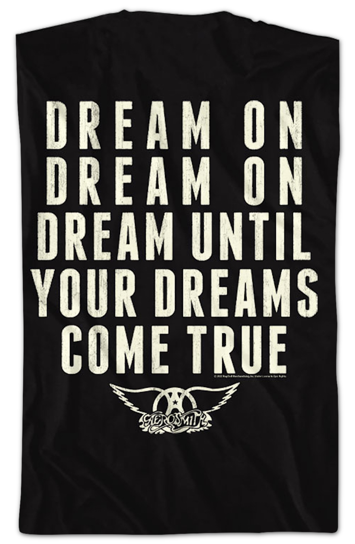 Front & Back Dream Until Your Dreams Come True Aerosmith T-Shirt