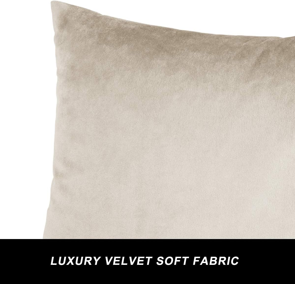Beige-Velvet Cushion Covers