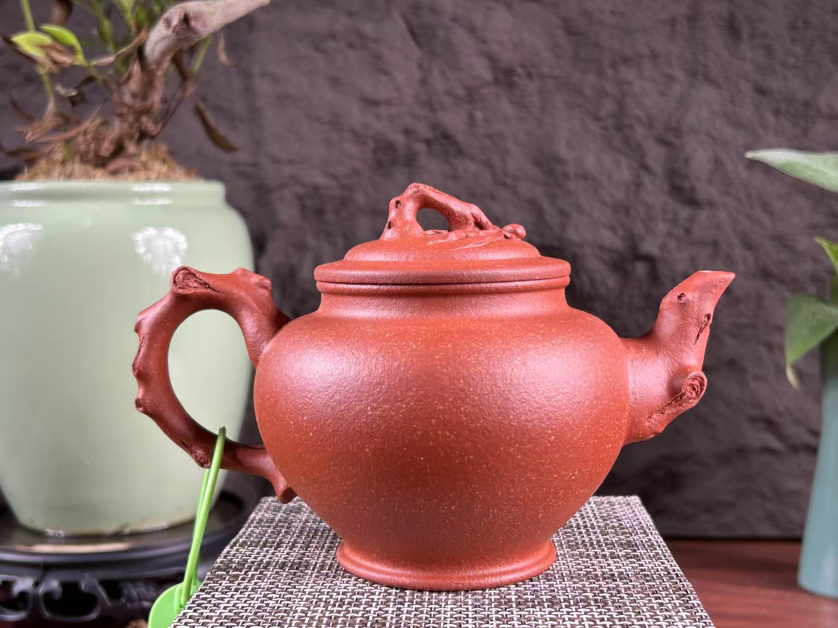 20250807-4-桃报春