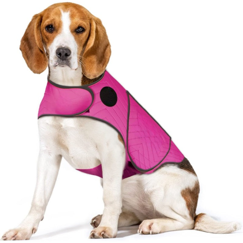Sport Vest For Dogs