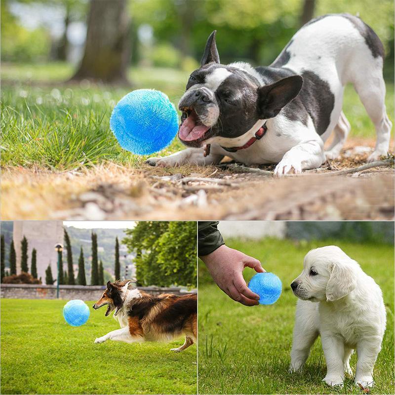 Magic Ball for Dogs