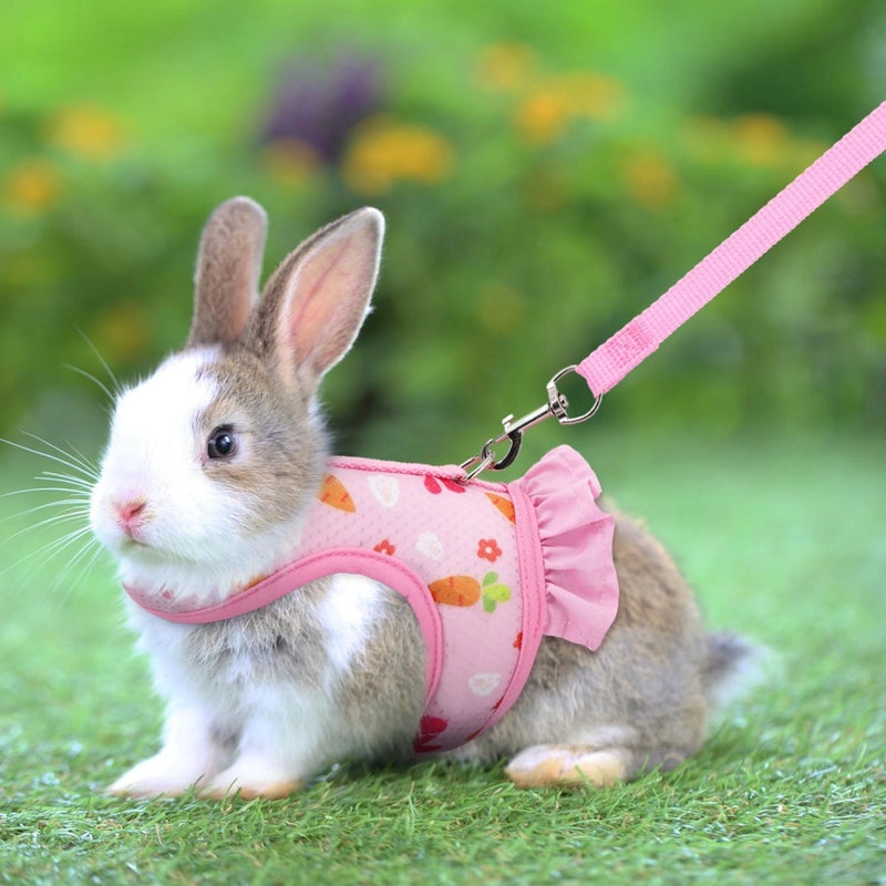Rabbit Chest Back Dutch Pig Rabbit Rope Small Pet Traction Rope Chest Strap Rabbit Vest Chest Back Set
