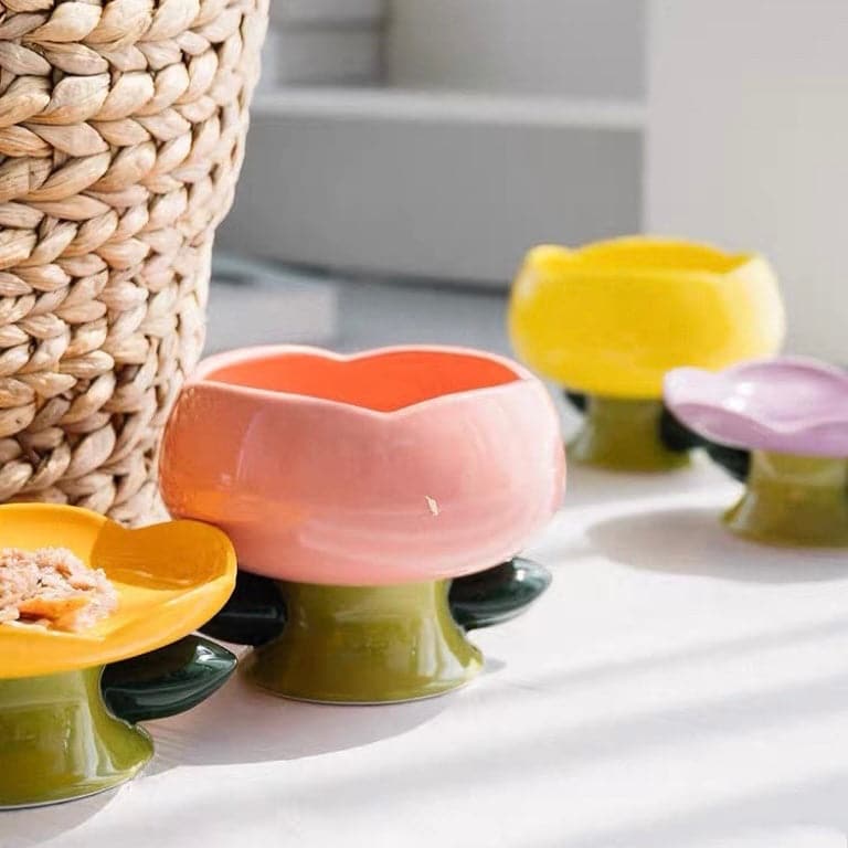 Camily Bowls｜Dog Bowls & Cat Bowls
