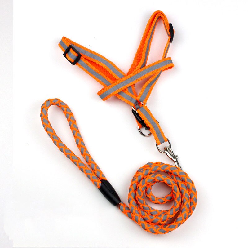 Safety Strong Reflective Dog Leash Collar