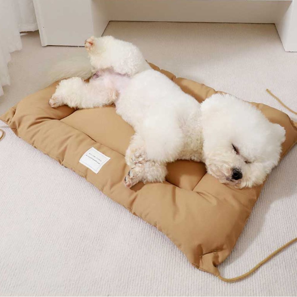Pet Mat