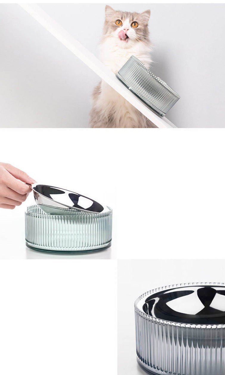 Contemporary Stainless Steel Pet Bowl in Blue