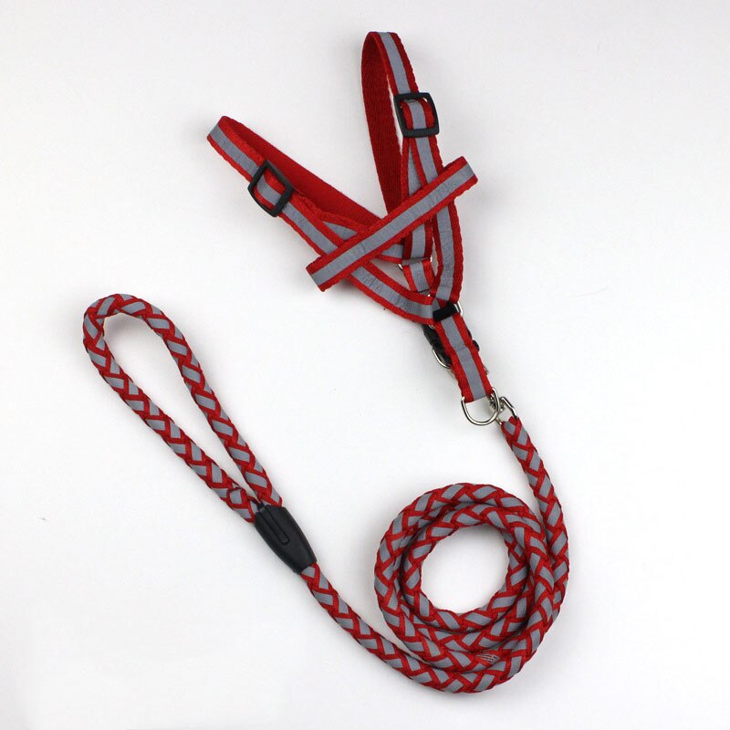 Safety Strong Reflective Dog Leash Collar