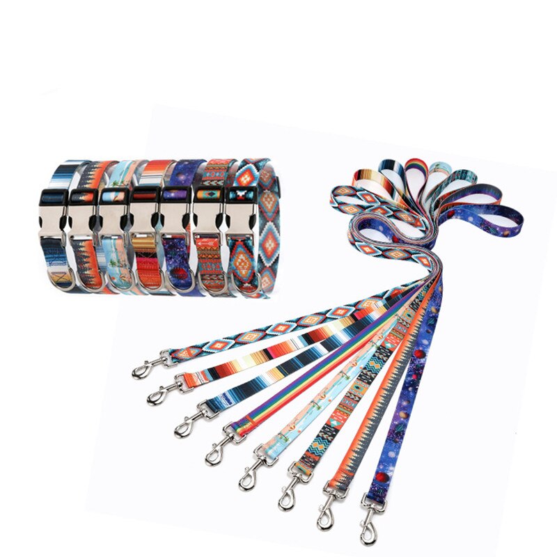 Aesthetic Pet Dog Collar And Leash Set