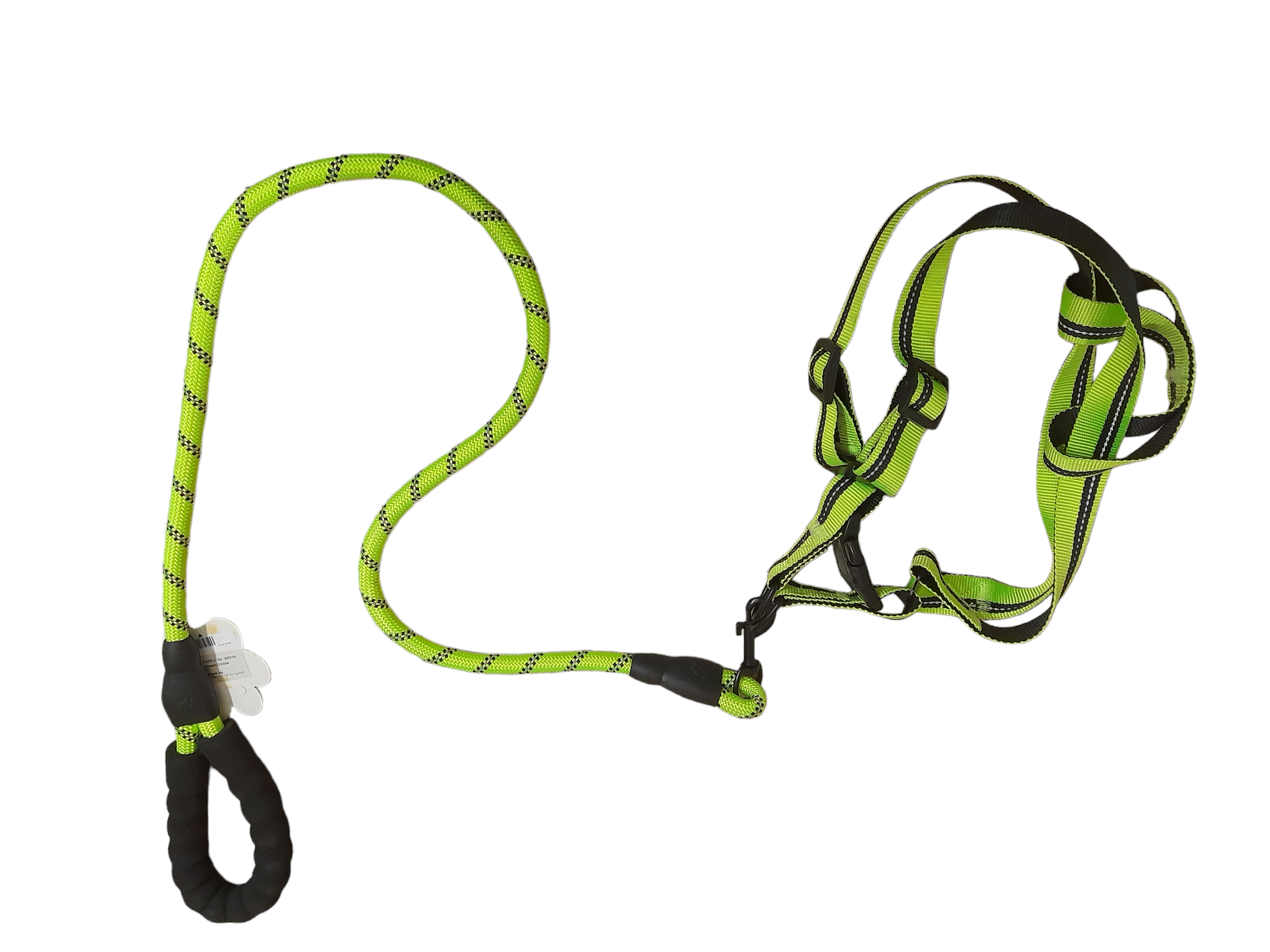 Dog leash + harness